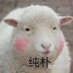 洞悉市场风云，全面解读行情动态