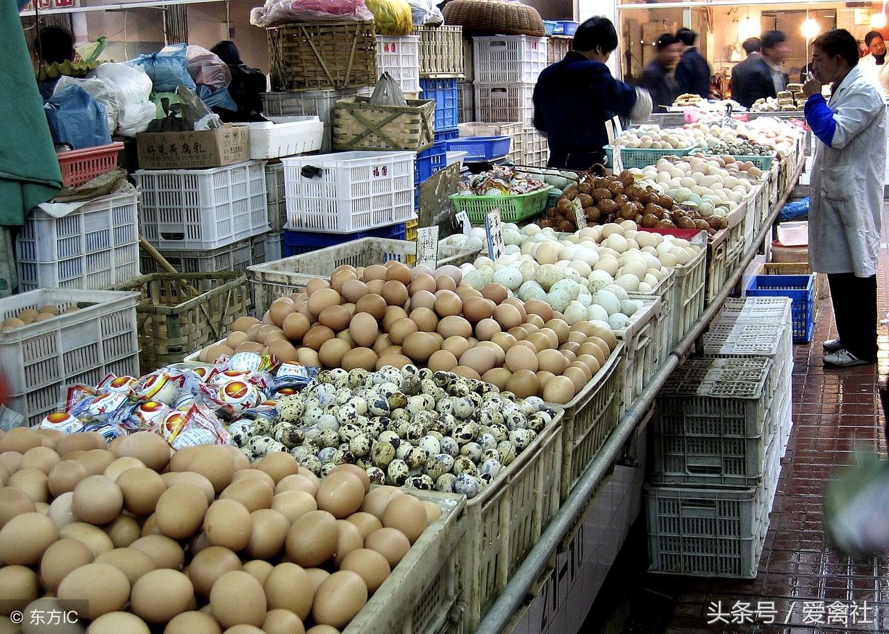 湖北鸡蛋价格最新行情